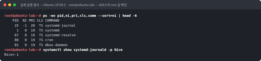실제 실행 결과 — Ubuntu 24.04.5 · root@ubuntu-lab — 서비스의 nice 값 확인