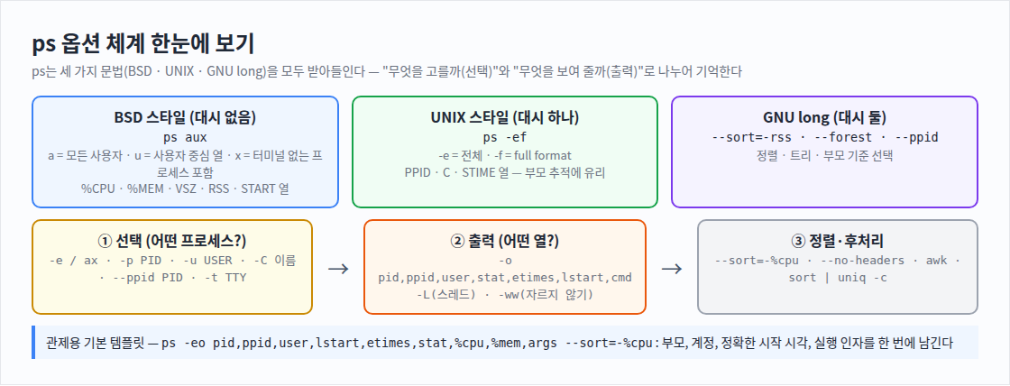 ps 옵션 체계 한눈에 보기
