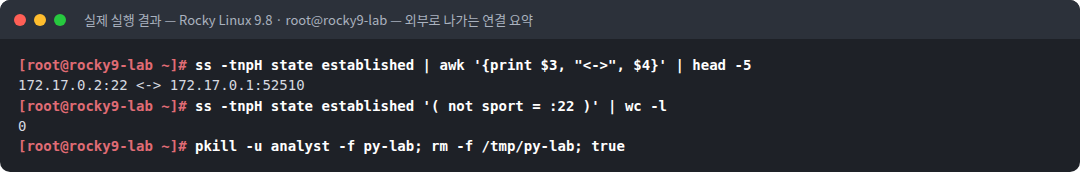 실제 실행 결과 — Rocky Linux 9.8 · root@rocky9-lab — 외부로 나가는 연결 요약