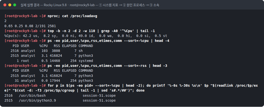 실제 실행 결과 — Rocky Linux 9.8 · root@rocky9-lab — ① 시스템 지표 → ② 원인 프로세스 → ③ 소속