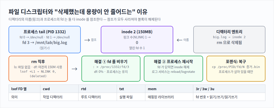 파일 디스크립터와 "삭제했는데 용량이 안 줄어드는" 이유