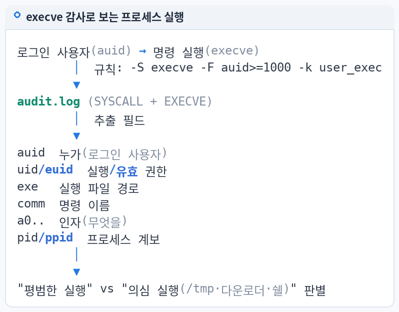 execve 감사로 보는 프로세스 실행