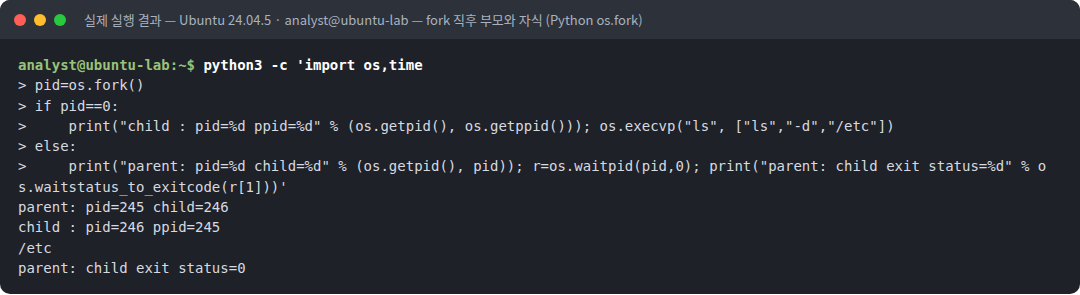 실제 실행 결과 — Ubuntu 24.04.5 · analyst@ubuntu-lab — fork 직후 부모와 자식 (Python os.fork)