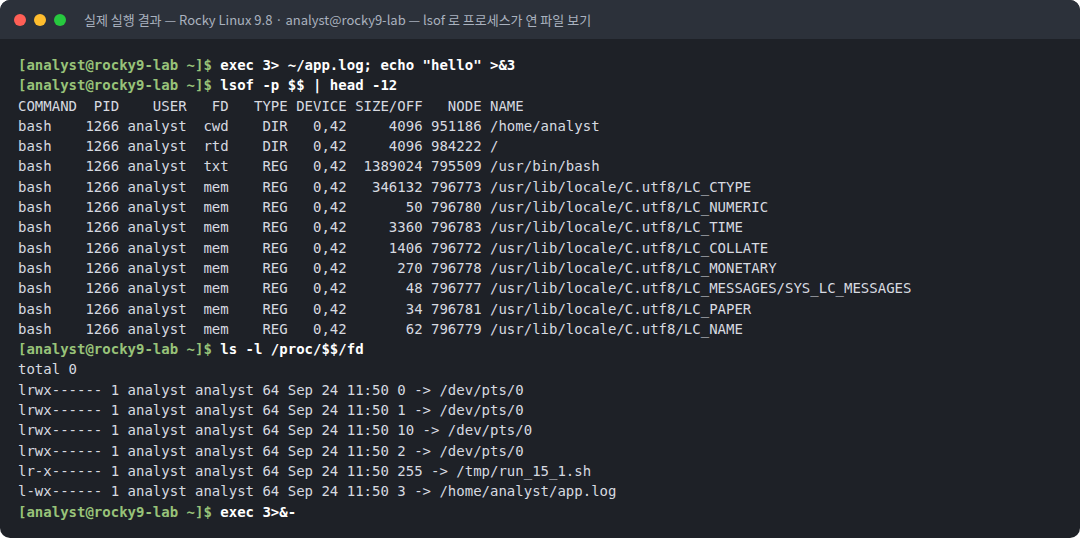 실제 실행 결과 — Rocky Linux 9.8 · analyst@rocky9-lab — lsof 로 프로세스가 연 파일 보기