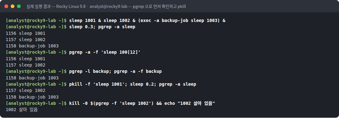 실제 실행 결과 — Rocky Linux 9.8 · analyst@rocky9-lab — pgrep 으로 먼저 확인하고 pkill
