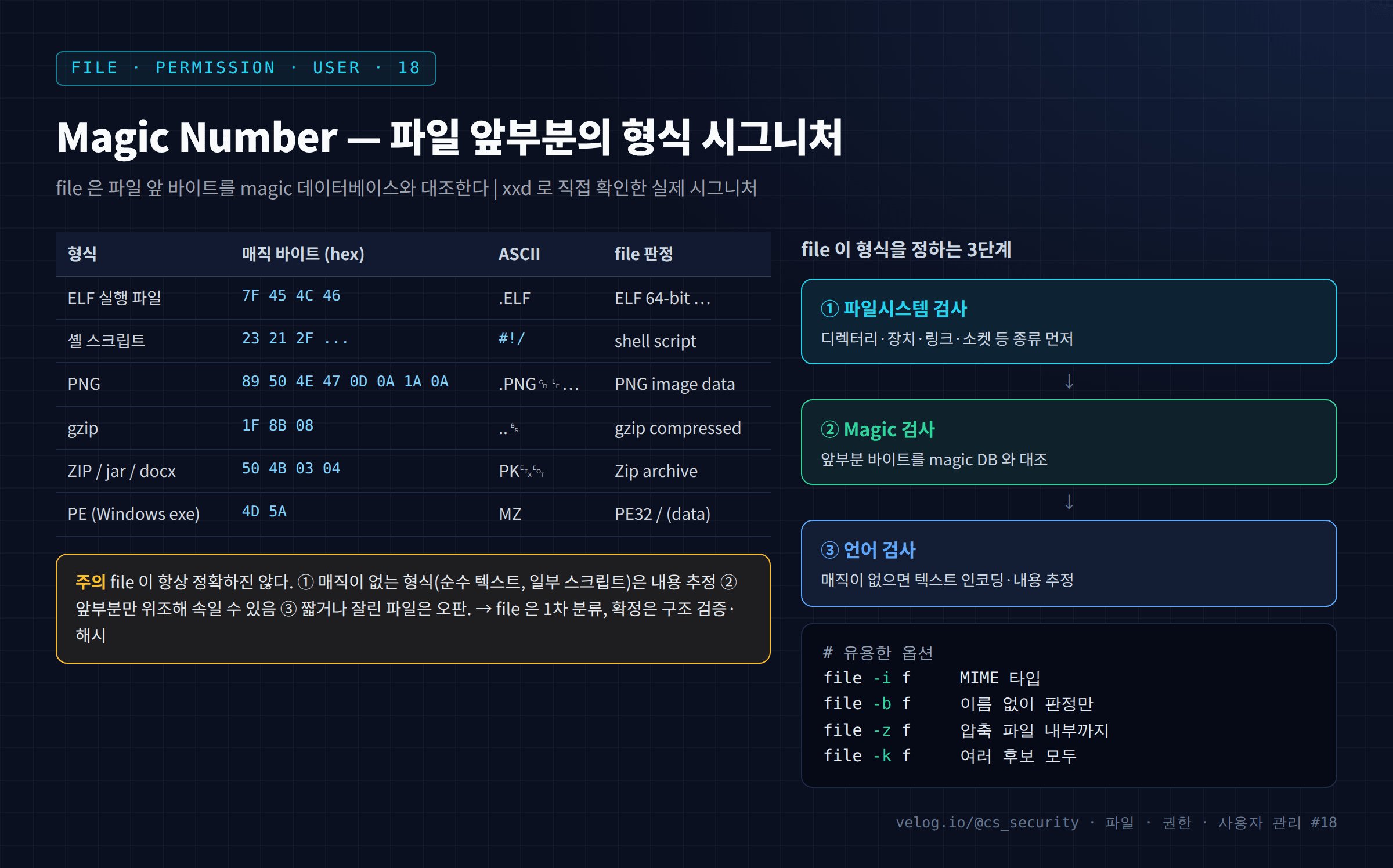 Magic Number — 파일 앞부분의 형식 시그니처