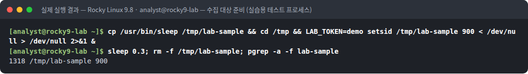 실제 실행 결과 — Rocky Linux 9.8 · analyst@rocky9-lab — 수집 대상 준비 (실습용 테스트 프로세스)