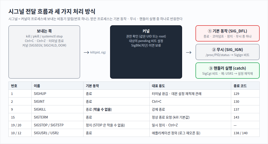 시그널 전달 흐름과 세 가지 처리 방식
