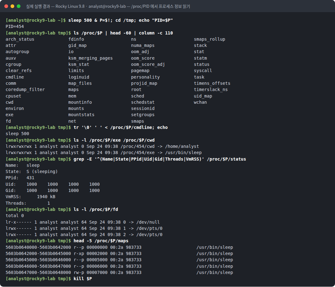 실제 실행 결과 — Rocky Linux 9.8 · analyst@rocky9-lab — /proc/PID 에서 프로세스 정보 읽기