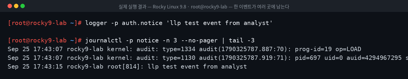 실제 실행 결과 — Rocky Linux 9.8 · root@rocky9-lab — 한 이벤트가 여러 곳에 남는다