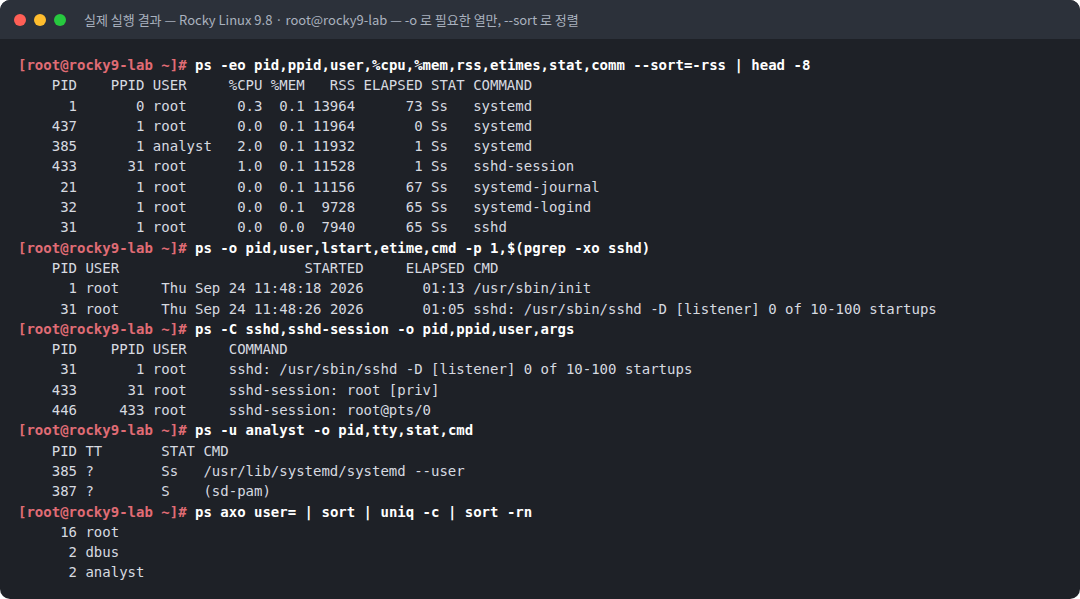 실제 실행 결과 — Rocky Linux 9.8 · root@rocky9-lab — -o 로 필요한 열만, --sort 로 정렬