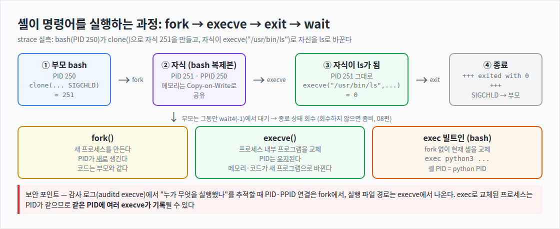셸이 명령어를 실행하는 과정: fork → execve → exit → wait