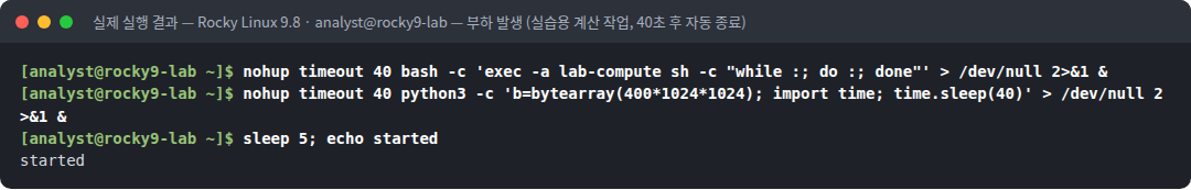 실제 실행 결과 — Rocky Linux 9.8 · analyst@rocky9-lab — 부하 발생 (실습용 계산 작업, 40초 후 자동 종료)