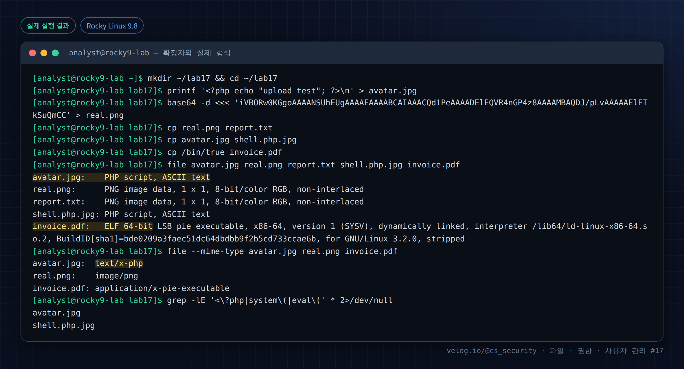 실제 실행 결과 — Rocky Linux 9.8 · analyst@rocky9-lab — 확장자와 실제 형식