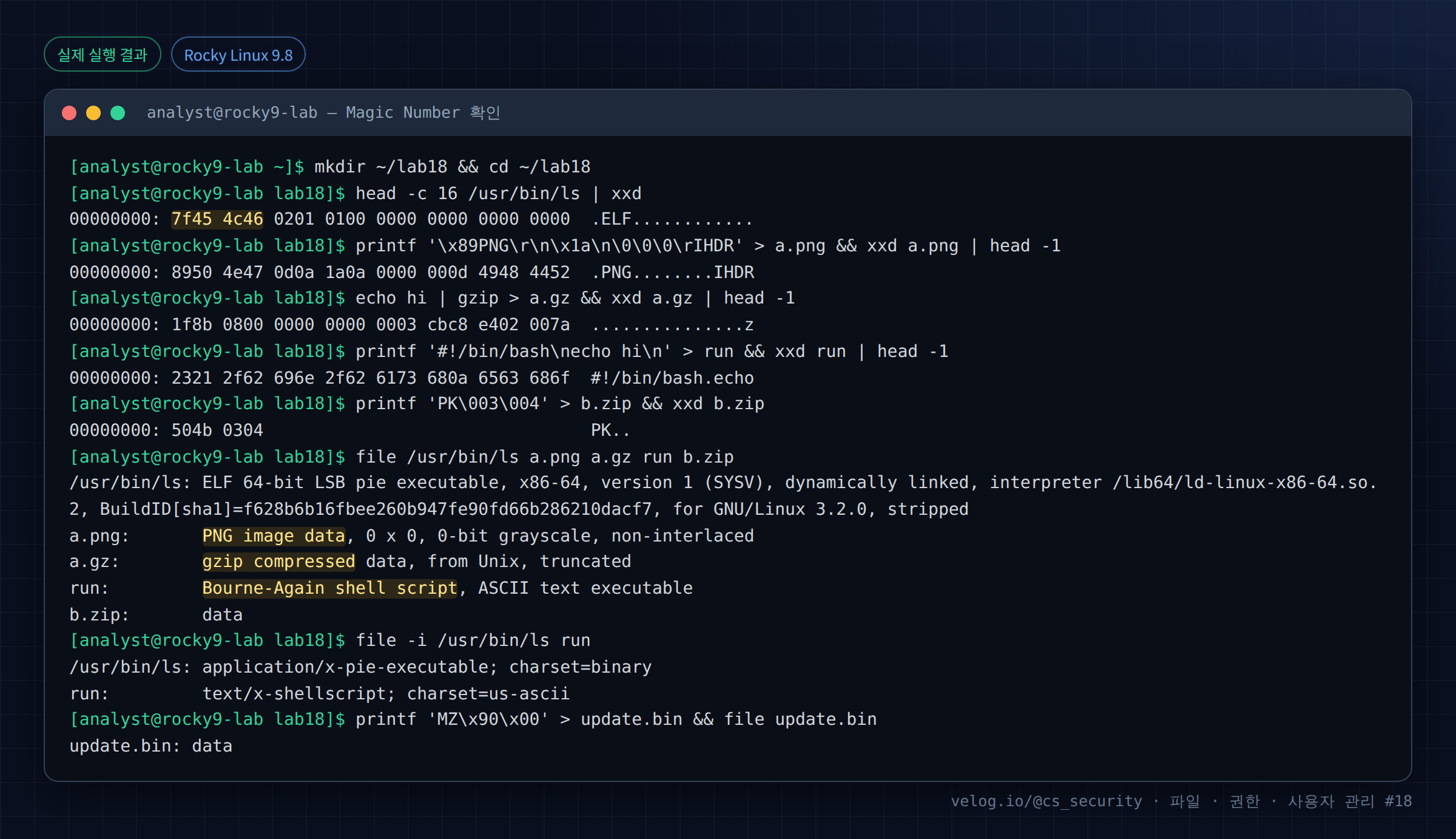실제 실행 결과 — Rocky Linux 9.8 · analyst@rocky9-lab — Magic Number 확인