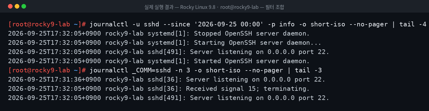 실제 실행 결과 — Rocky Linux 9.8 · root@rocky9-lab — 필터 조합