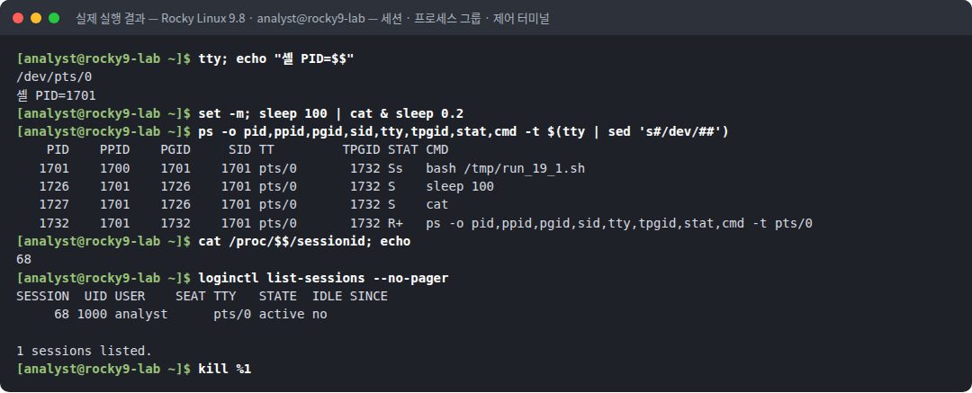 실제 실행 결과 — Rocky Linux 9.8 · analyst@rocky9-lab — 세션 · 프로세스 그룹 · 제어 터미널