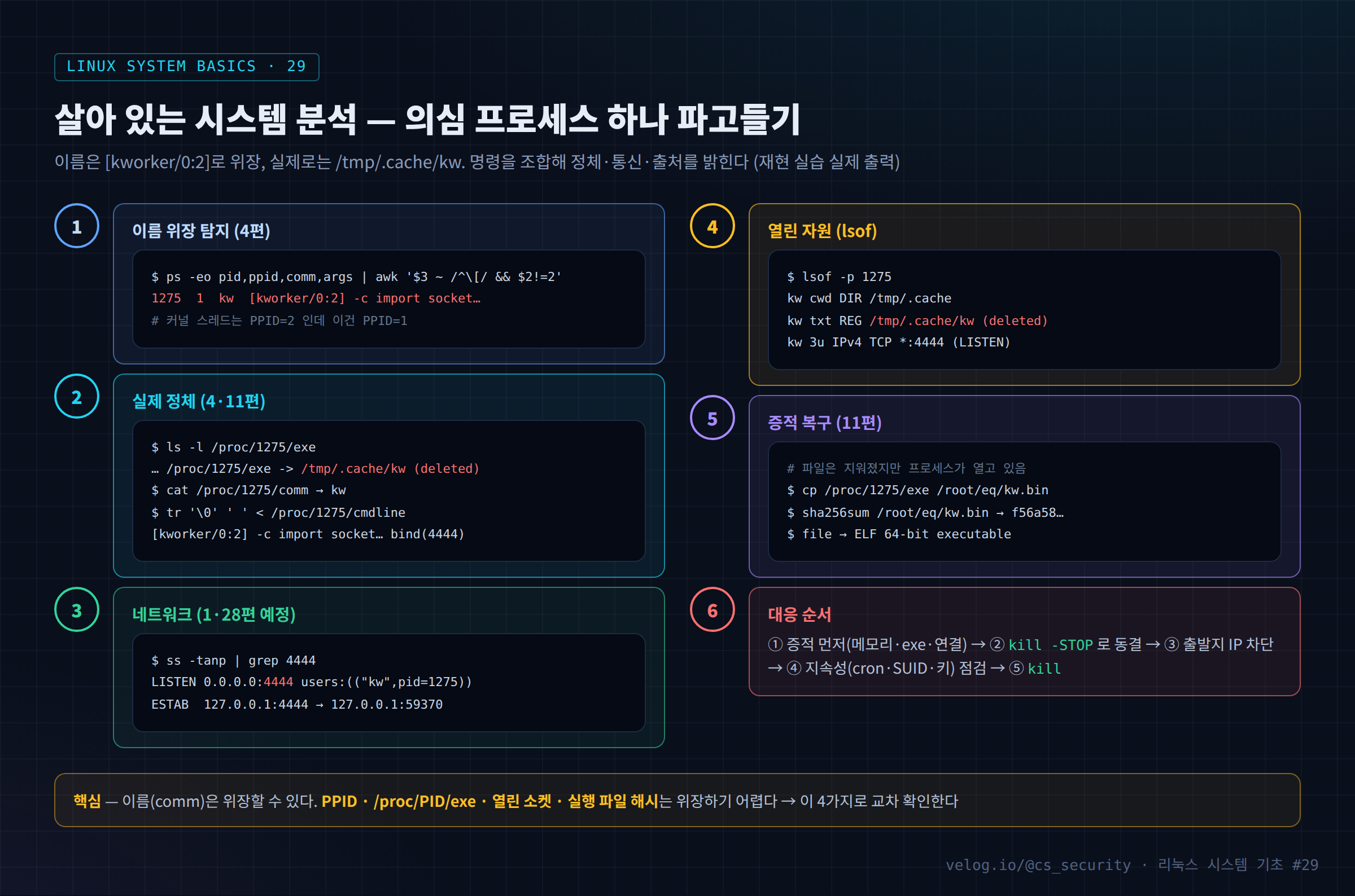 살아 있는 시스템 분석 — 의심 프로세스 하나 파고들기