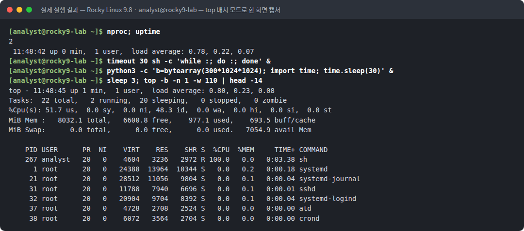 실제 실행 결과 — Rocky Linux 9.8 · analyst@rocky9-lab — top 배치 모드로 한 화면 캡처