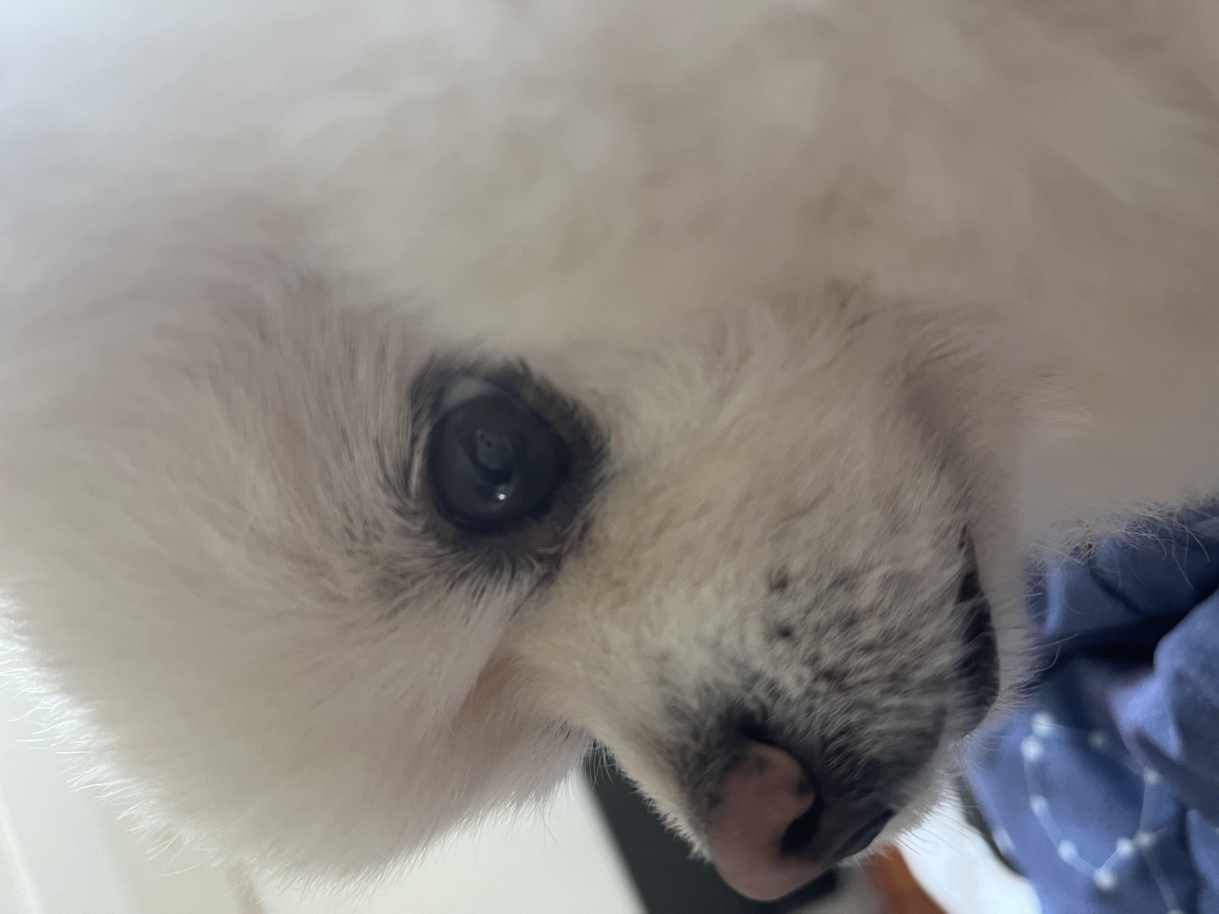 profile