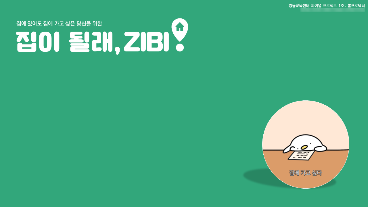 ZIBI