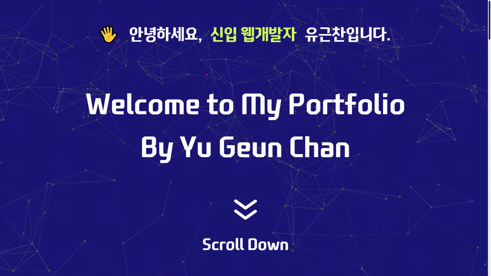 포트폴리오