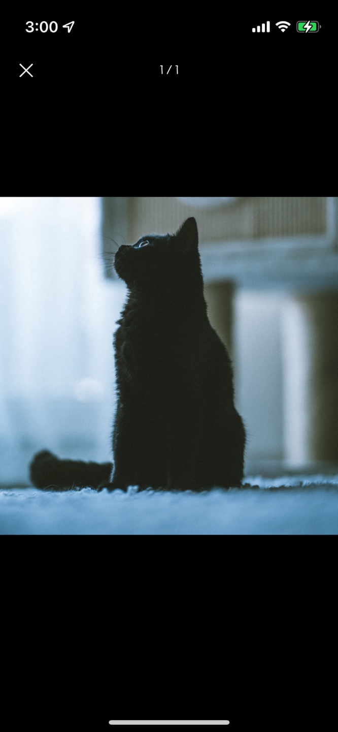 comment-user-thumbnail