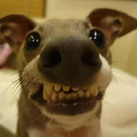 comment-user-thumbnail