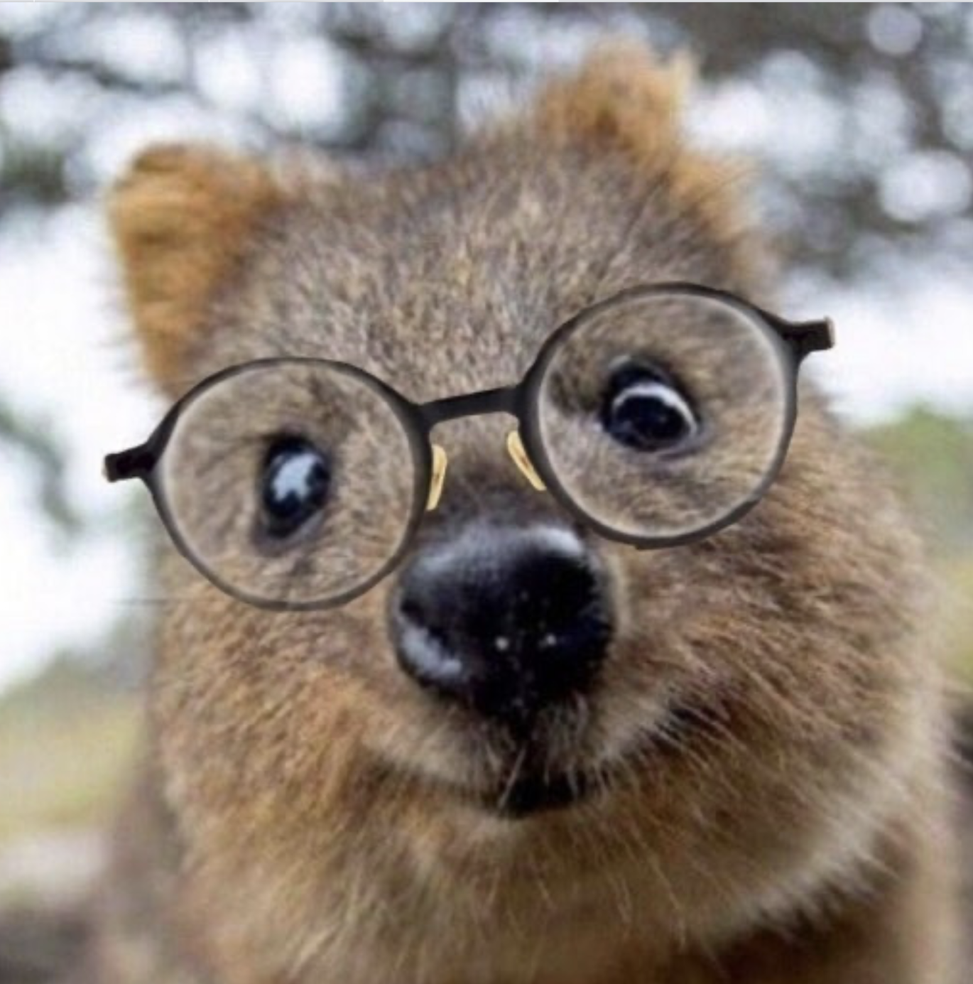 comment-user-thumbnail