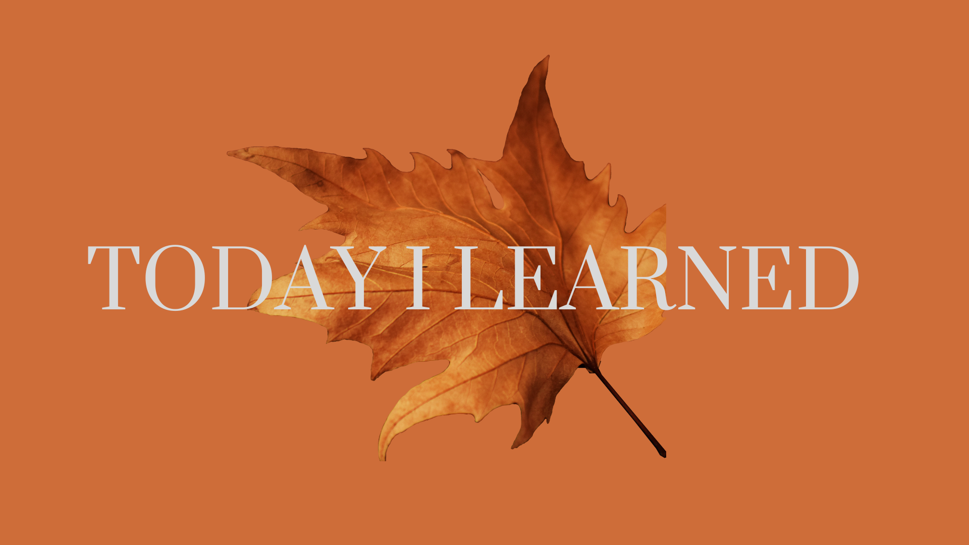 2022 10 06 TIL 2022 10 06 til