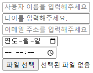 input 태그 결과