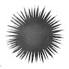 comment-user-thumbnail