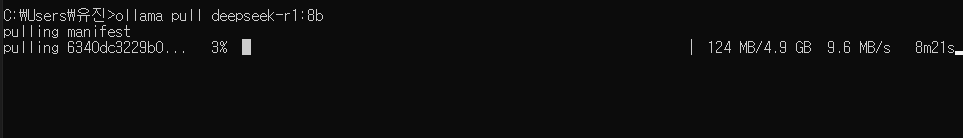 4.9GB