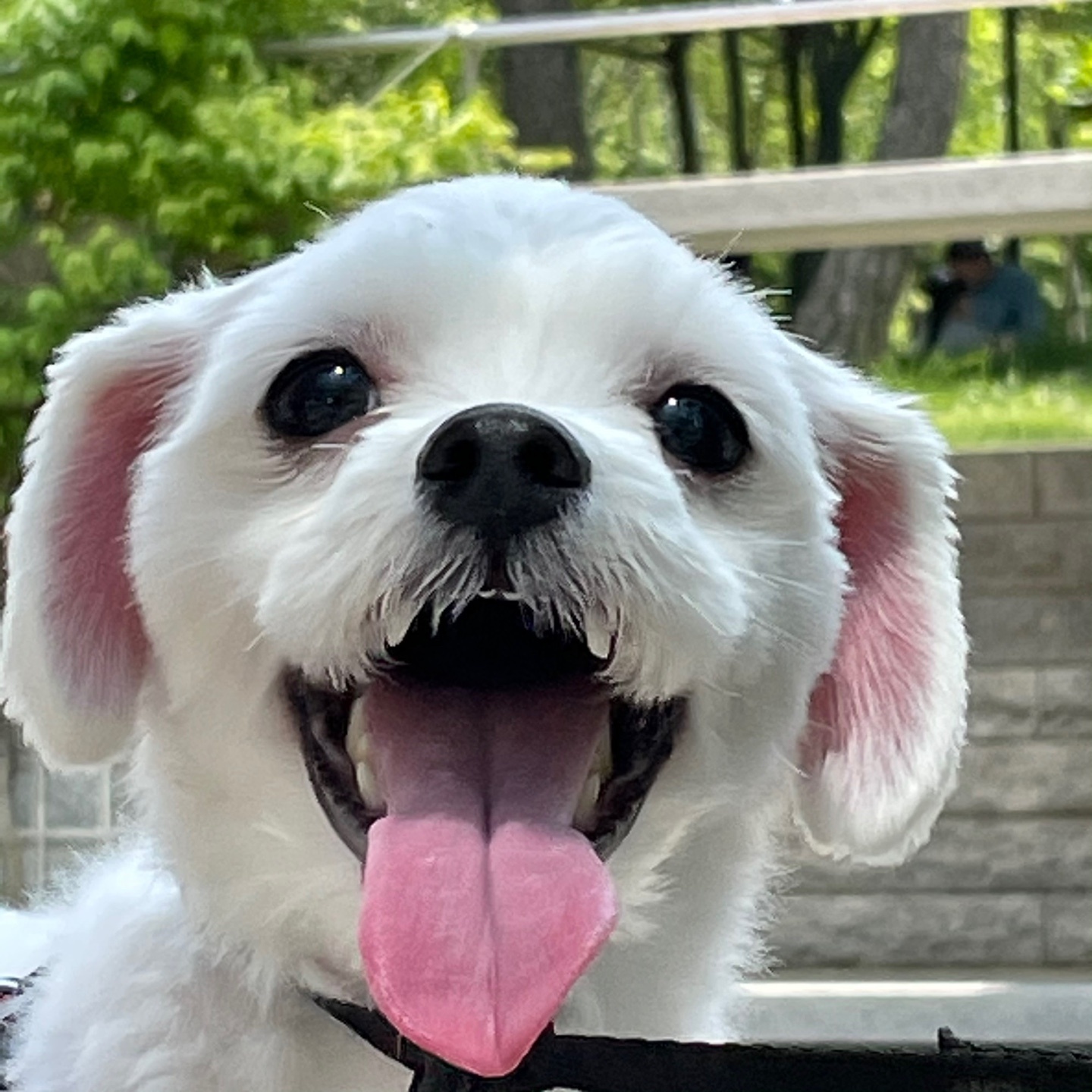 comment-user-thumbnail