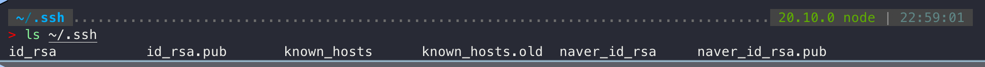 ls ~/.ssh