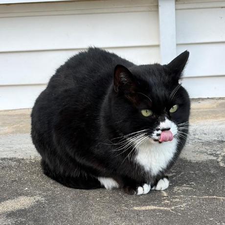 comment-user-thumbnail