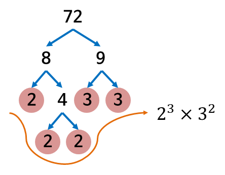 72 소인수 분해
