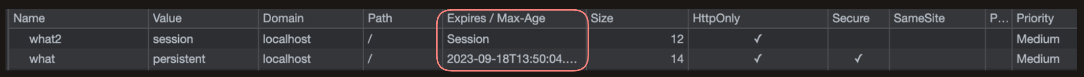 session cookie or permanent cookie