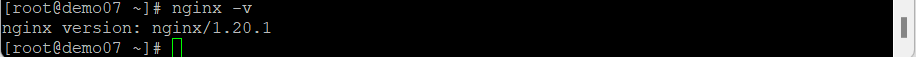 nginx 버전확인