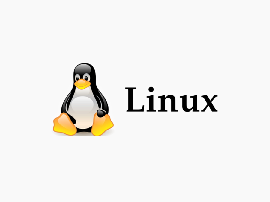 Linux image