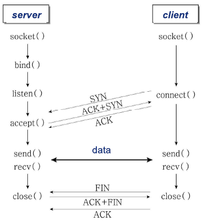 Network