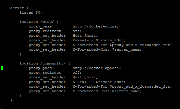 Nginx Reverse Proxy