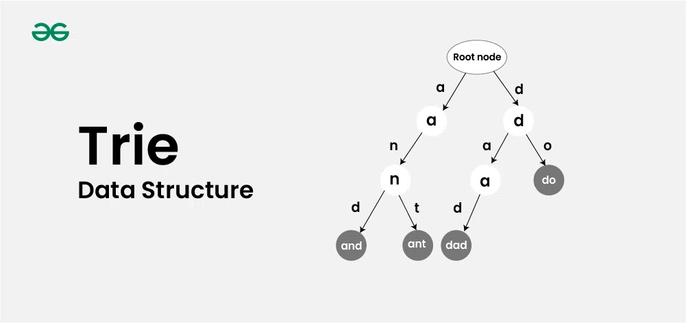 Trie (Prefix Tree) 완벽 분석: 문자열 저장 및 탐색의 효율성을 극대화하는 방법
