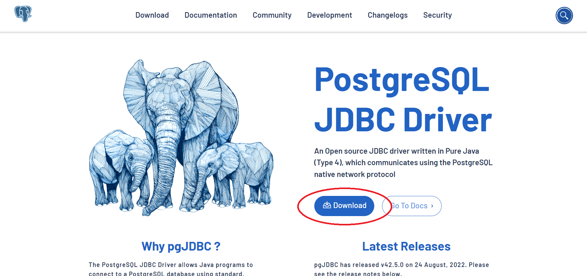 [SERVLET] 🗃️ PostgreSQL JDBC Driver 설치