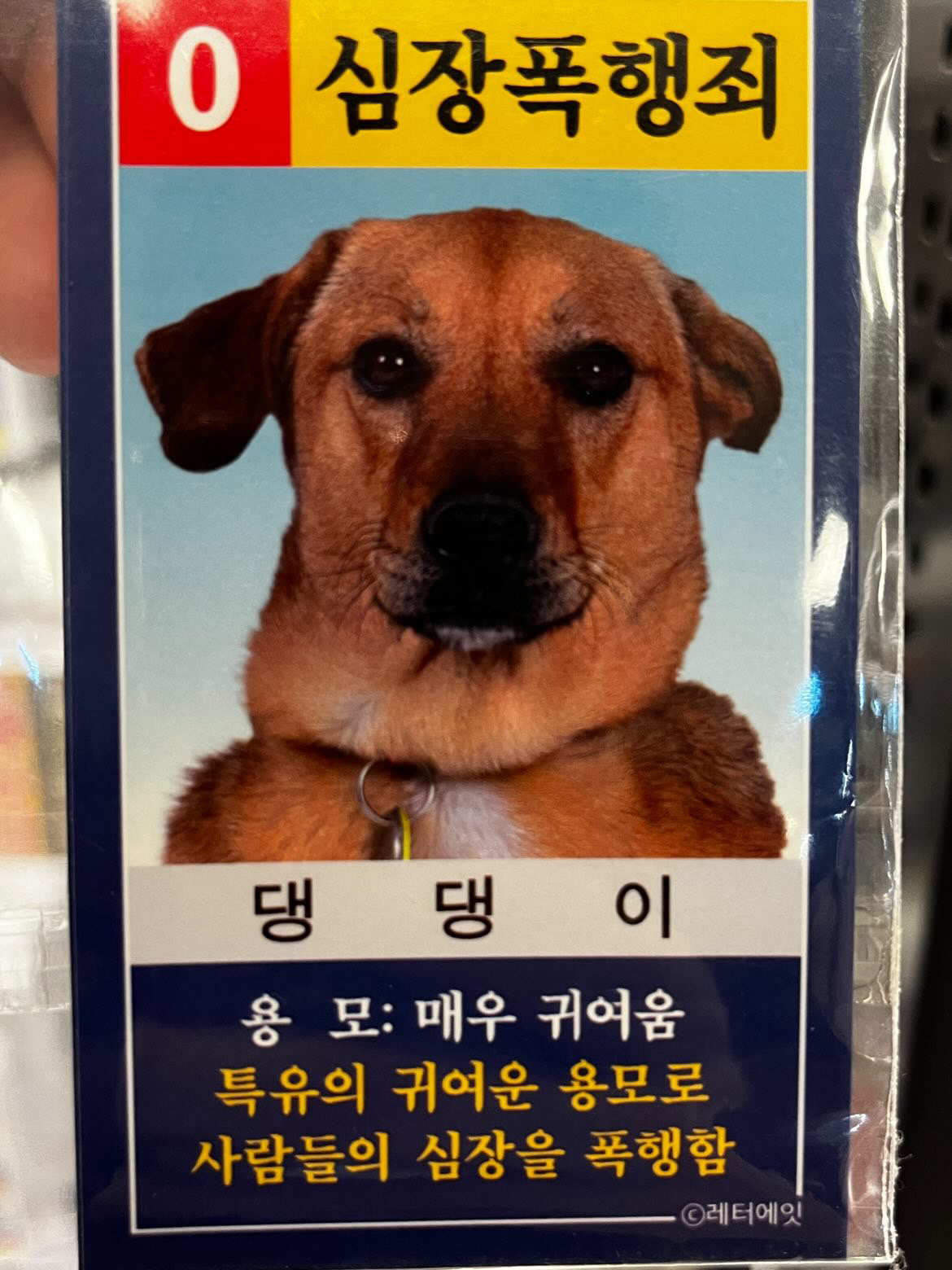 [BOJ] 12865 평범한 배낭 골드5