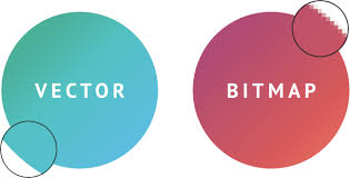벡터와 비트맵