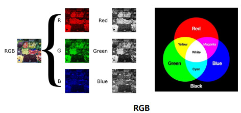 딥러닝(Deep Learning) (1)