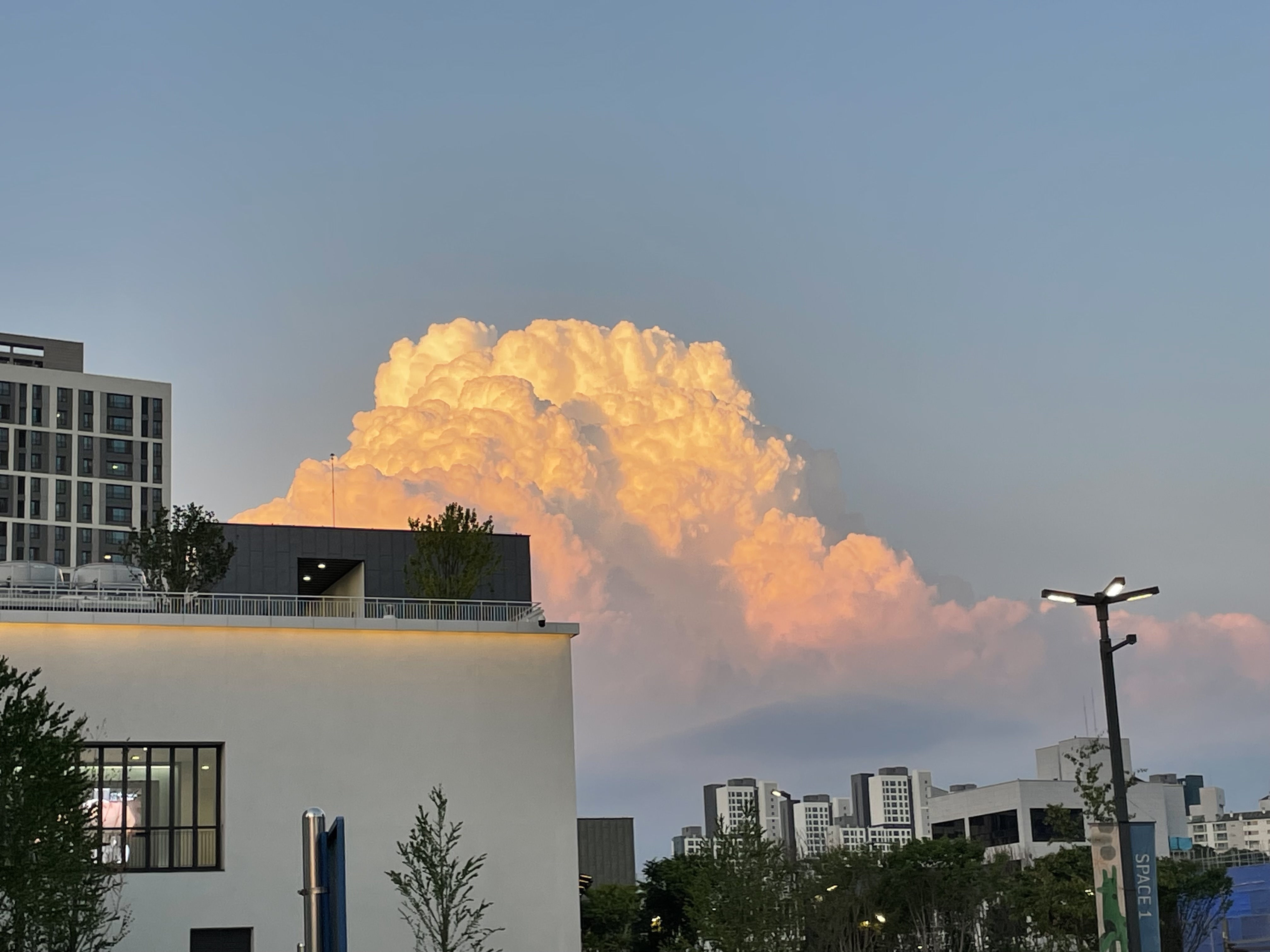 comment-user-thumbnail