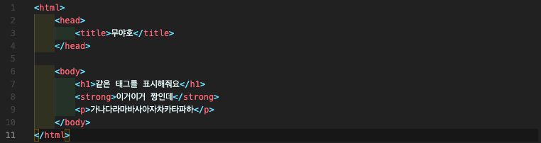 내가 쓰고 있는 VSCode Extension