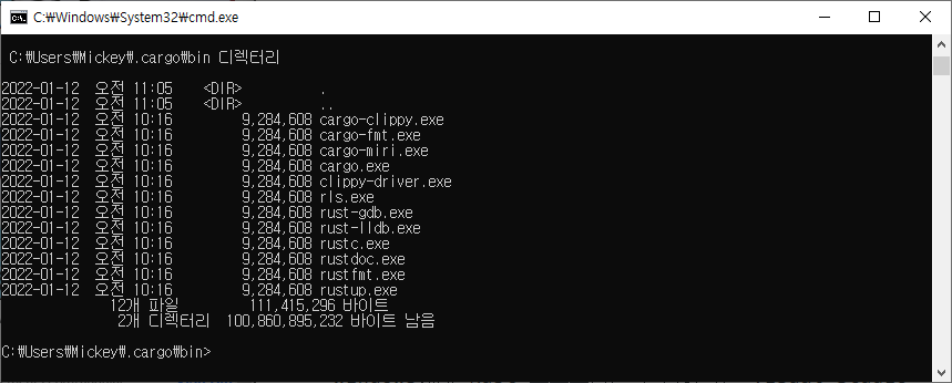 Rust - Environment Setup